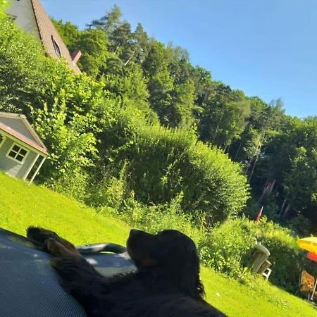 Ferienwohnung - Gruene Oase Stockach Exterior foto